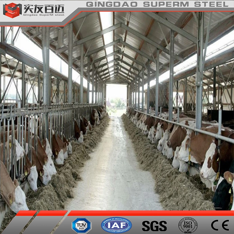 Customized Design Prefabricated Livestock Building Steel Structure Cattle Shed