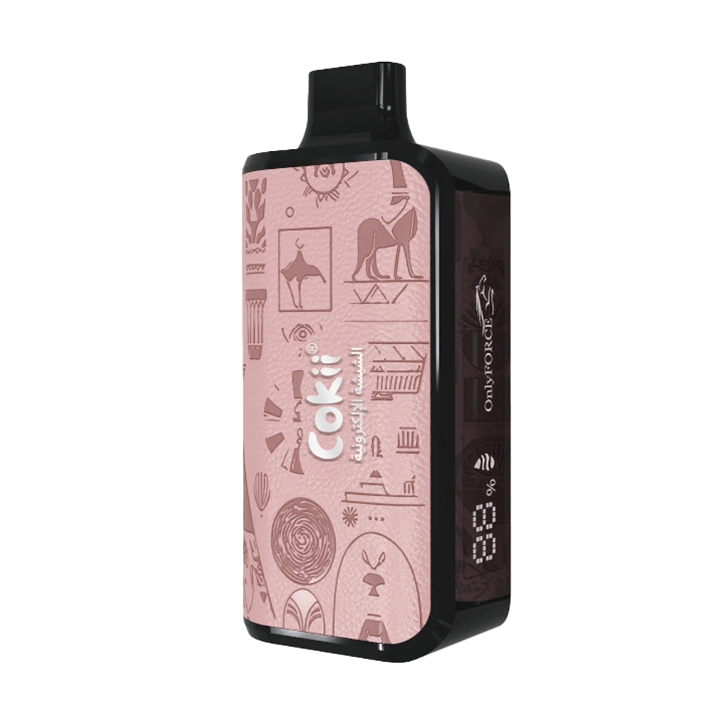 Dual Mesh Coil Vape Cokii Gt8 16000 Puffs Disposable E Cigarette