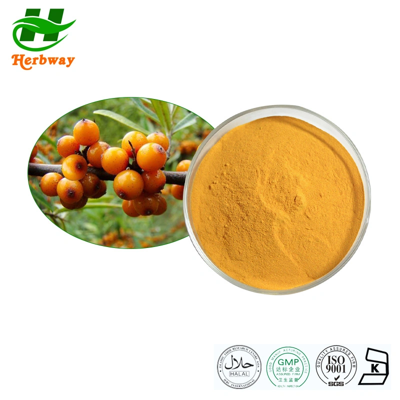 Botanical Plant Sea Buckthorn Fruit Extract Flavones Hippophae Rhamnoides Extract