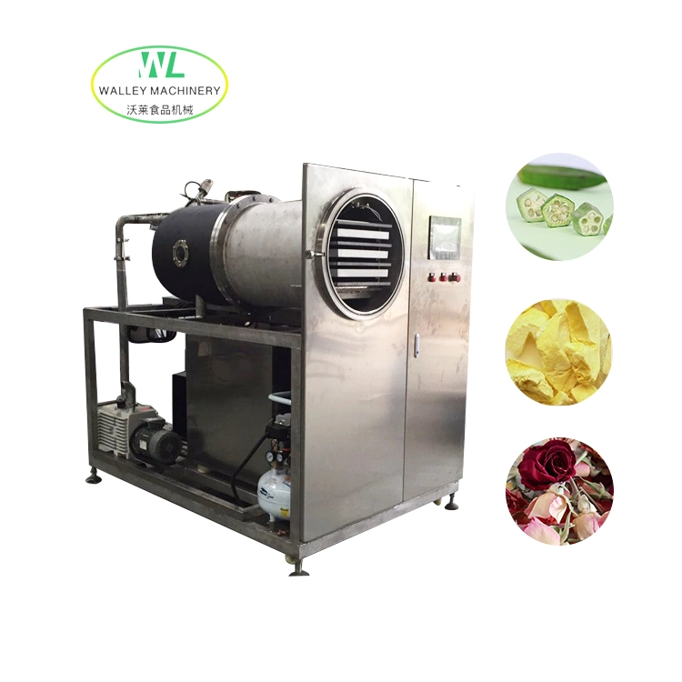 Laboratory Vacuum Freeze Drying Equipment for Experimental Use