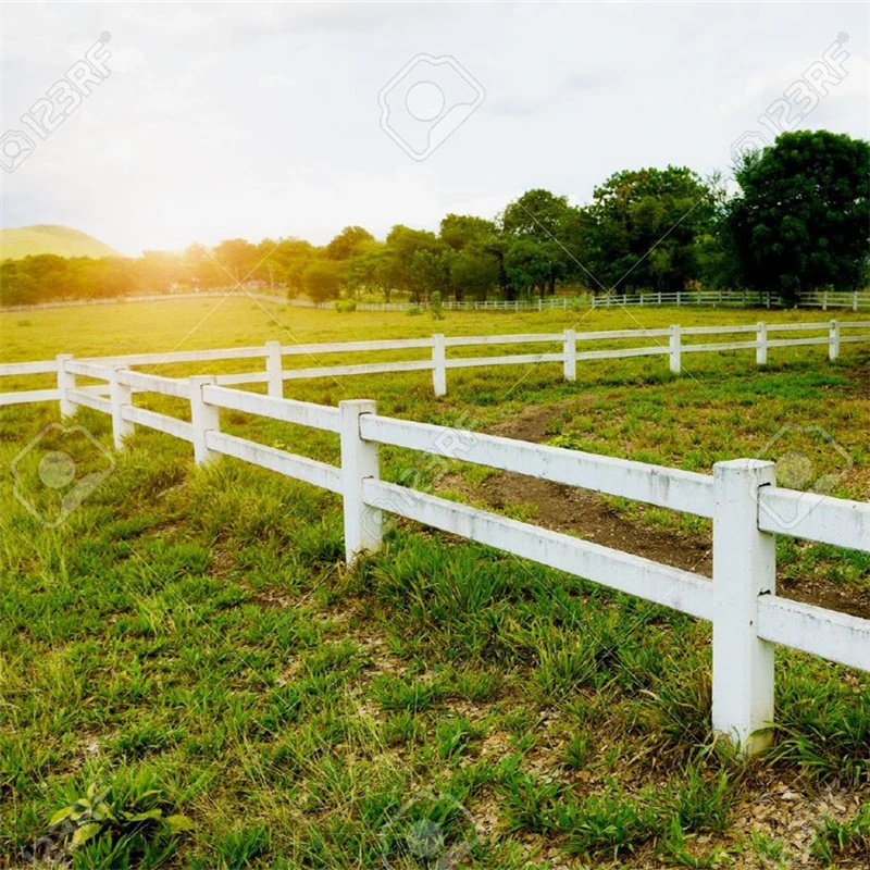 Galvanized Farm Field Fence