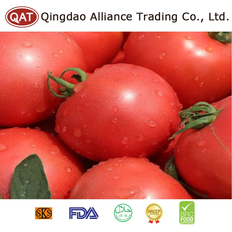 Exportar a China el mejor precio delicioso tomate en trocitos congelados