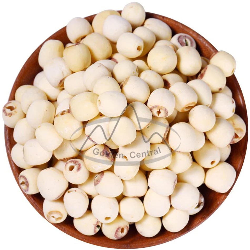 Wholesale/Supplier Dried Lotus Seed Lian Zi for World