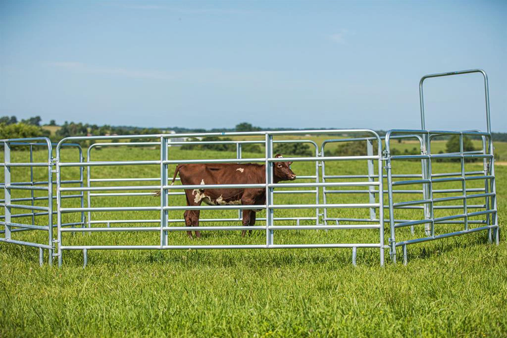 Panneaux de corral galvanisés Movable bétail cheval Cattle clôture pour ferme