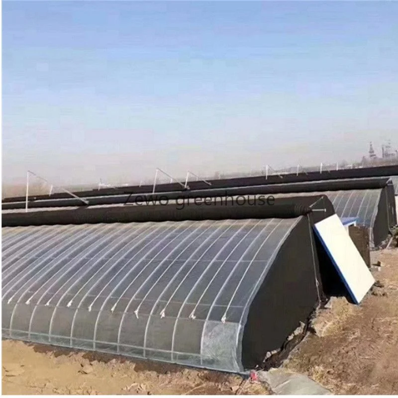 Solar Agricultural Greenhouse with Air Back Wall Covered with Warm Quilts for Winter Vegetables Growing/Gardening Planting