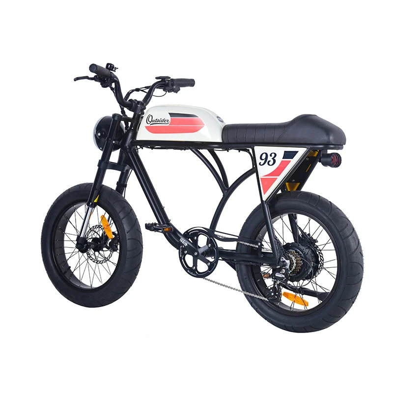 750W Powerful Dirt Ebike with 180mm Front and Rear Disc Brake