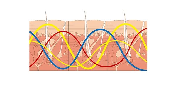 TENS máquina estimulación muscular alivio del dolor equipos de Terapia Física