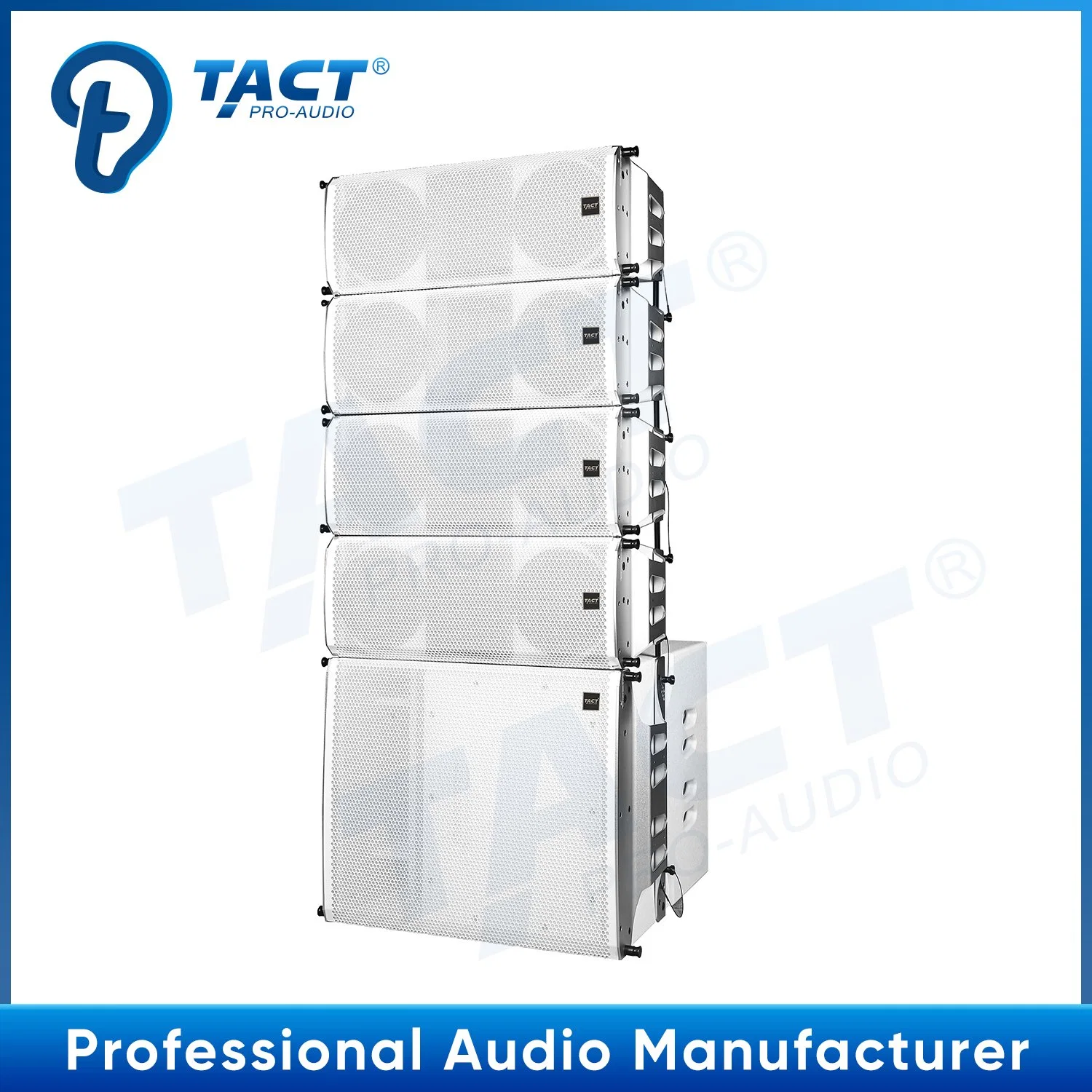 Tact Professional Audio Cox265b Double 6.5 Inch Line Array Speaker System