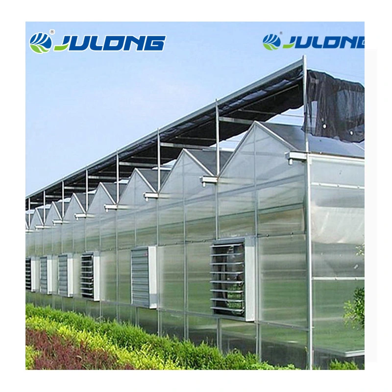 Customized Polycarbonate Sheet Agricultural Venlo Type Greenhouse with Hydroponics System for Vegetables