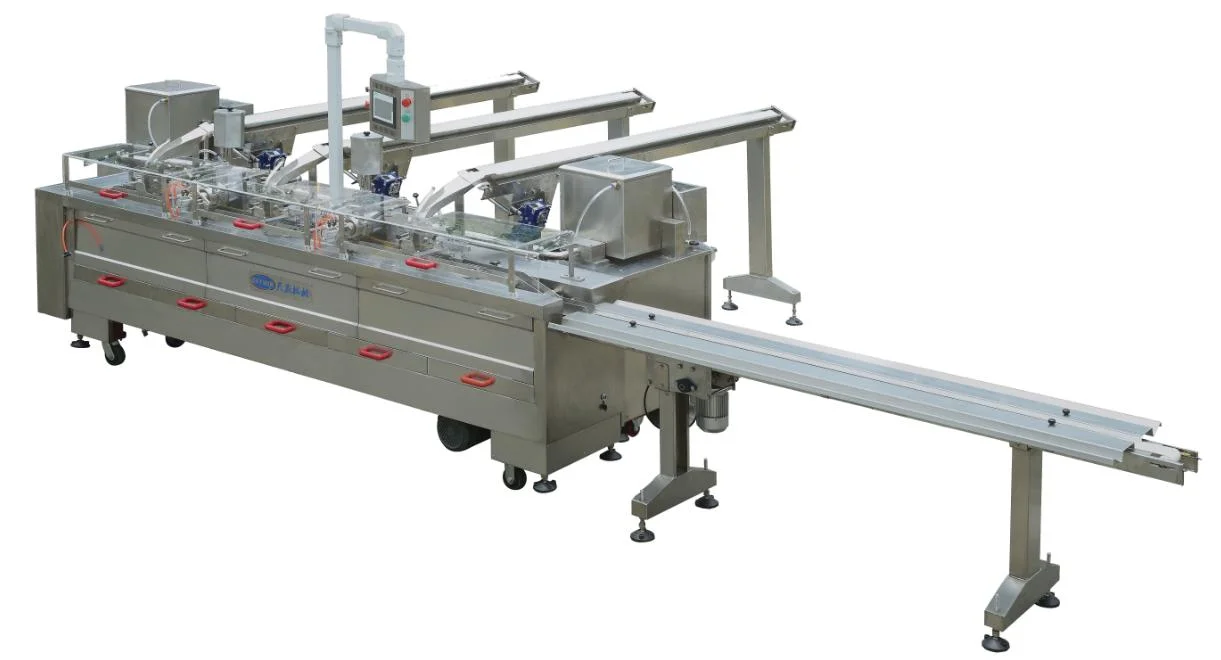 Biscuit Flow Packaging Machine Pillow Packaging Machine