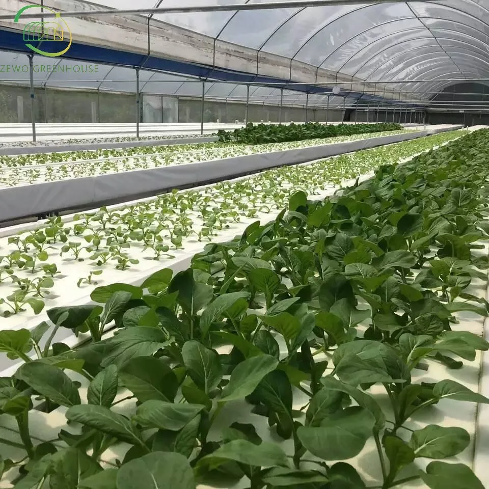 Vertical de alta calidad Sistema Nft hidropónico Hidroponía crecen cada vez mayor de los sistemas de juego de jardín invernadero vegetal de la planta de interior Inicio