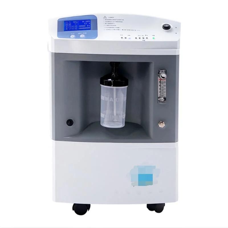 10 litros concentrador de oxígeno Estándar de atomización de inhaladores de oxígeno para el hogar