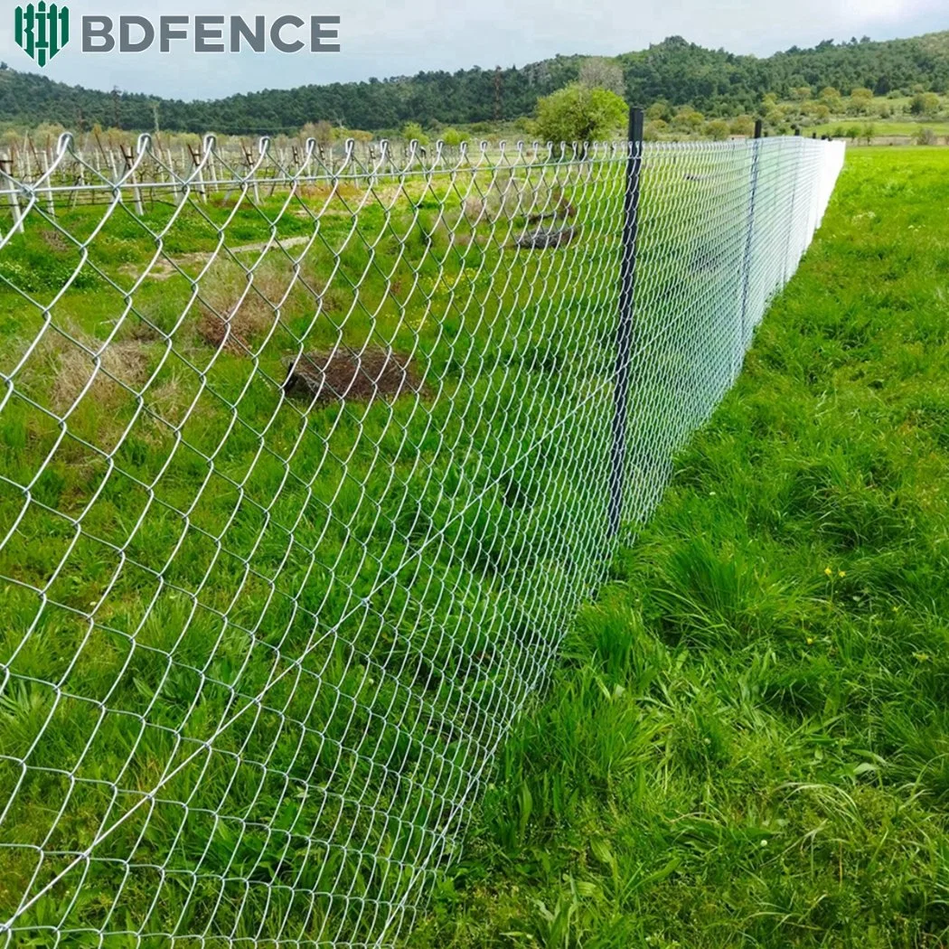 Woven Mesh Galvanized Iron Wire Cyclone Fencing Steel Metal Fence with Factory Price