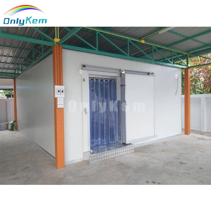 Refrigeration Cold Room Freezer Cold Storage Walk in Cooler for Frozen Meat