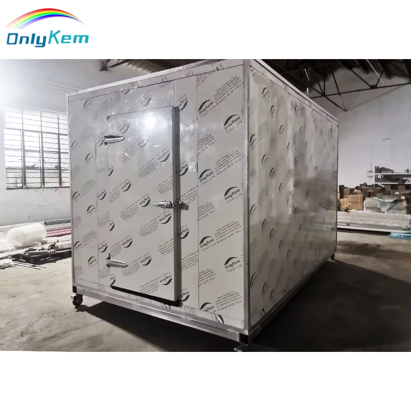 Cold Storage Room for Fish Meat Vegetable, Ice Store