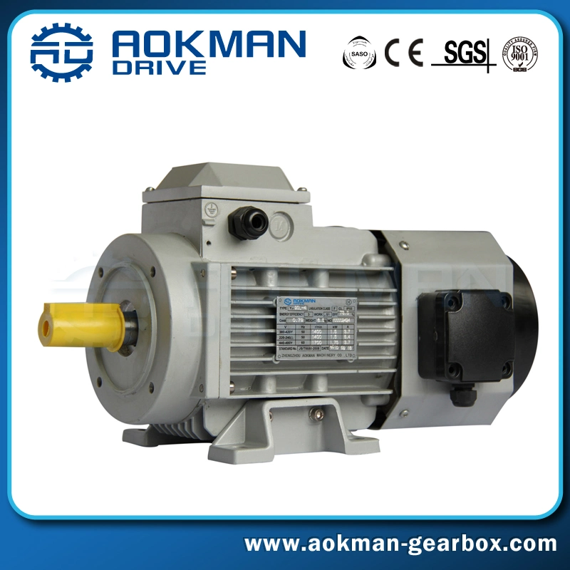 Energy Saving Yvf Small Variable Speed Frequency AC Motor