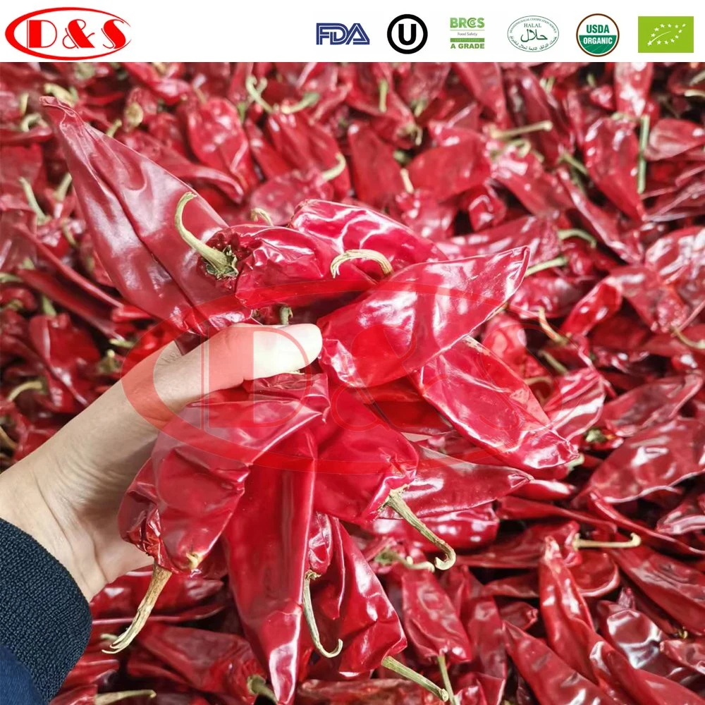 Manufacturer New Crop Hot Chili Pods Dehydrated Beijing Red Chili Dried Yidu Chili Guajillo