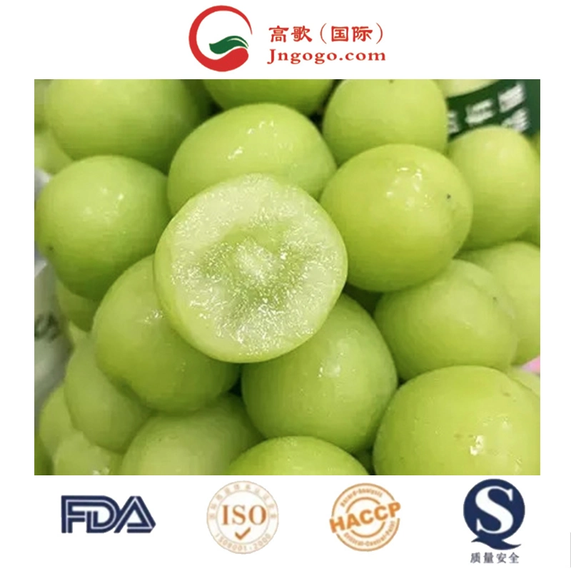 High Sweet Fresh Shine Muscat Grapes Natural Seedless Green Grapes