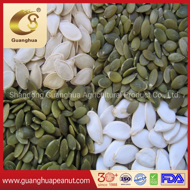 Export Standard Shine Skin Pumpkin Seeds Crop 2022