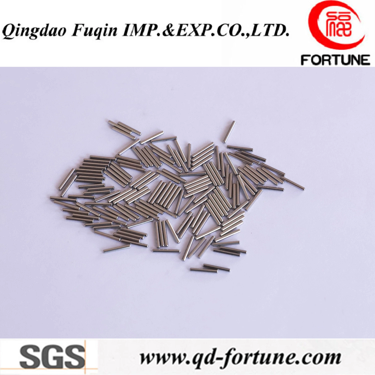 10x10mm Gcr1552100 AISI 100CR6 Suj-2 ANR Nrb Zb aguja Pin / para cojinetes de rodillos