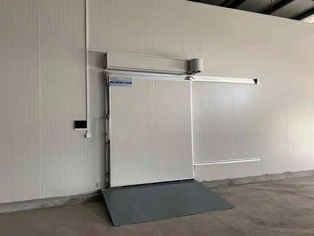 Professional Low Temperature Industrial Freezer Room Cold Storage
