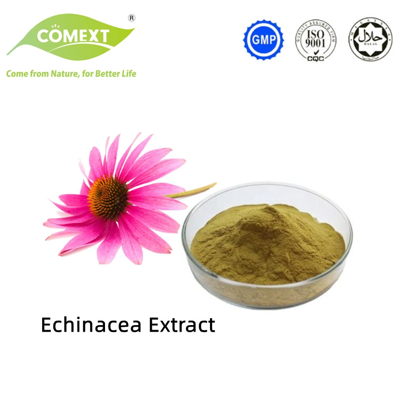 Comext Free Sample ISO Fssc Halal China Manufacturer HPLC 2% 4% Cichoric Acid 6% Polyphenol Powder Plant Echinacea Purpurea Extract for Preventing Cold & Flue