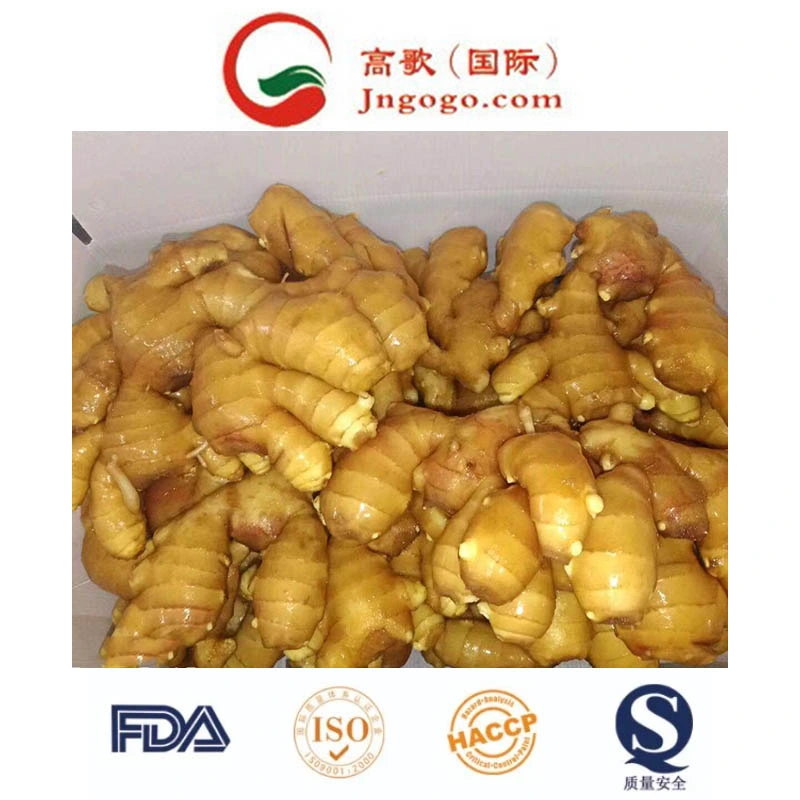 Top Quality New Crop Fresh Ginger Supplier From China