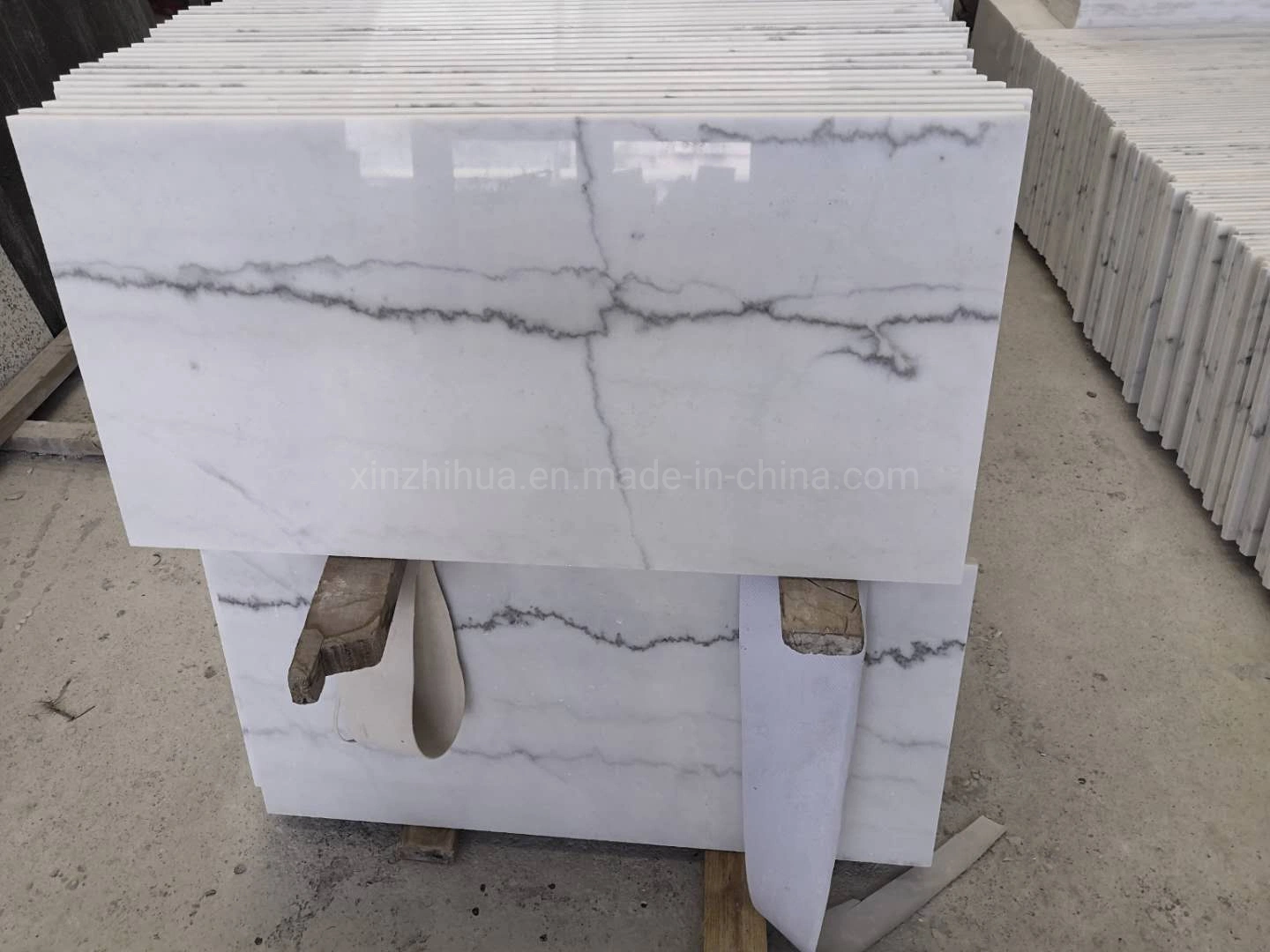 Delicate White Marble with Black Grain Slabs for Interior/Home Decoration