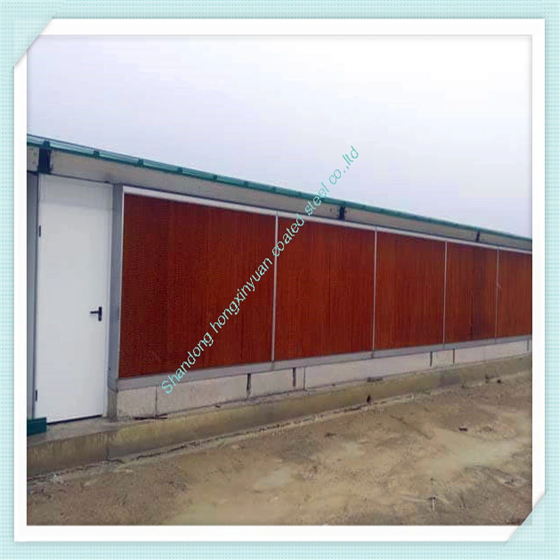 Galvernized Light Steel Structure Poultry Farm Chicken House for Feeding on Ground