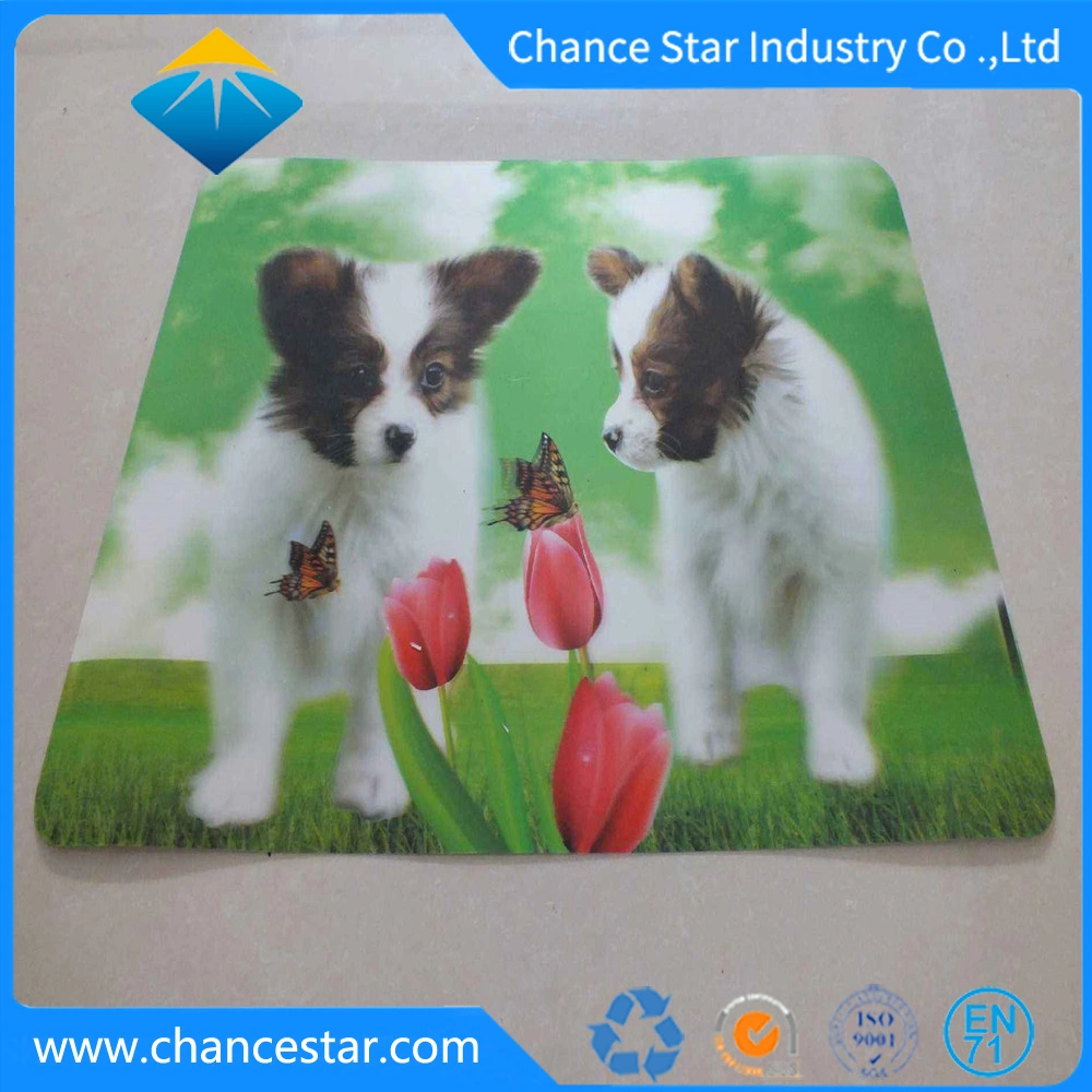 Custom 3D Printing Lenticualr Plastic Baby Place Mat