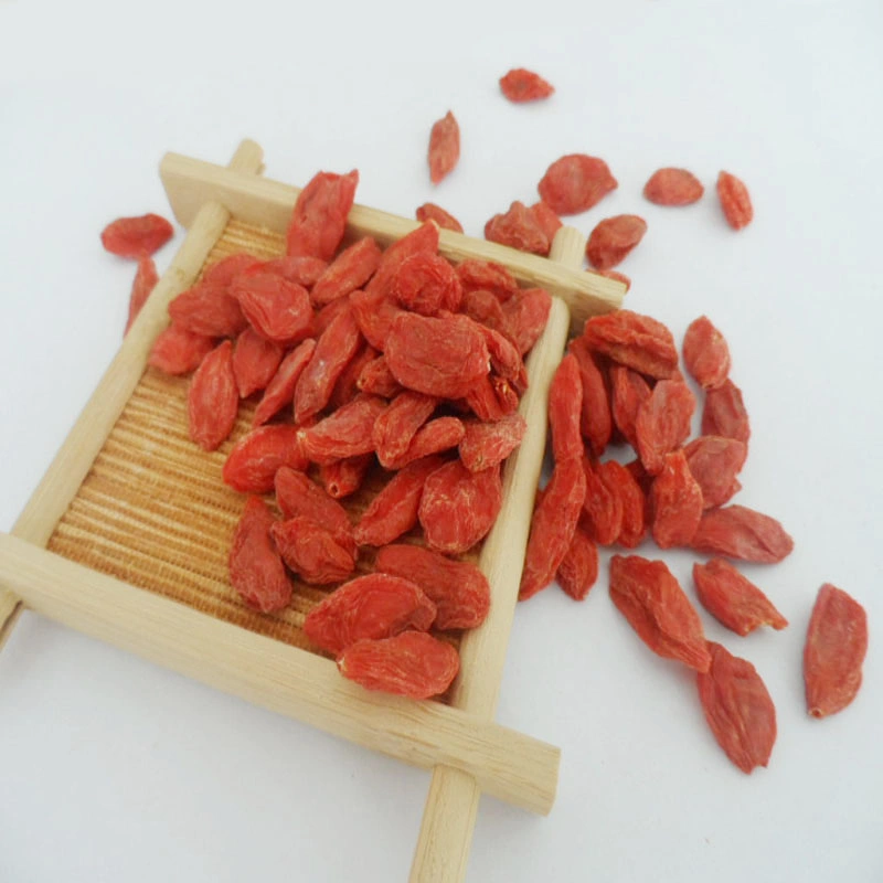 Bayas de Goji seco con alta calidad procedentes de China