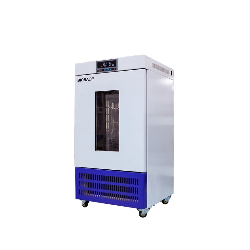 Biobase Cold-Rolled Steel Laboratory Used Mould Incubator