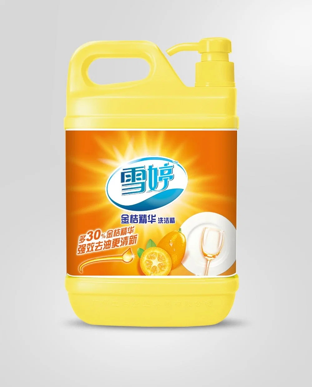 Antibacterial Foaming Detergent Dishwashing Liquid for Kitchen