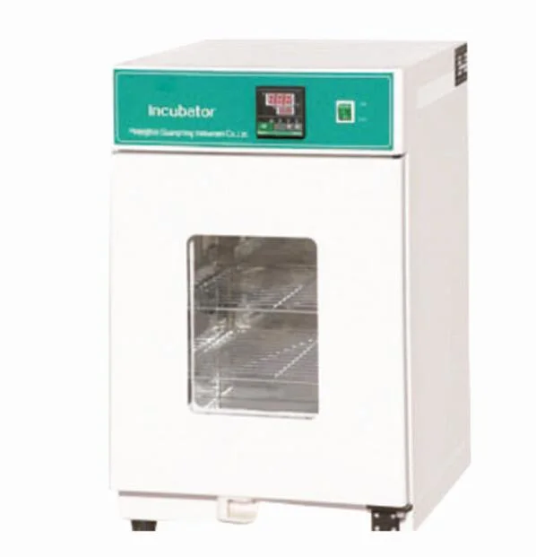 Buen precio 150L Termostato de incubadora de laboratorio de tipo vertical