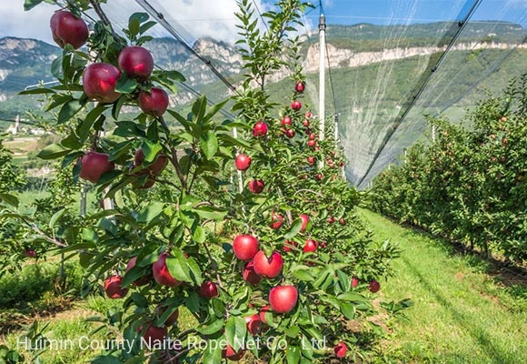 Agriculture 100% New HDPE Sun Shade Netting with High UV