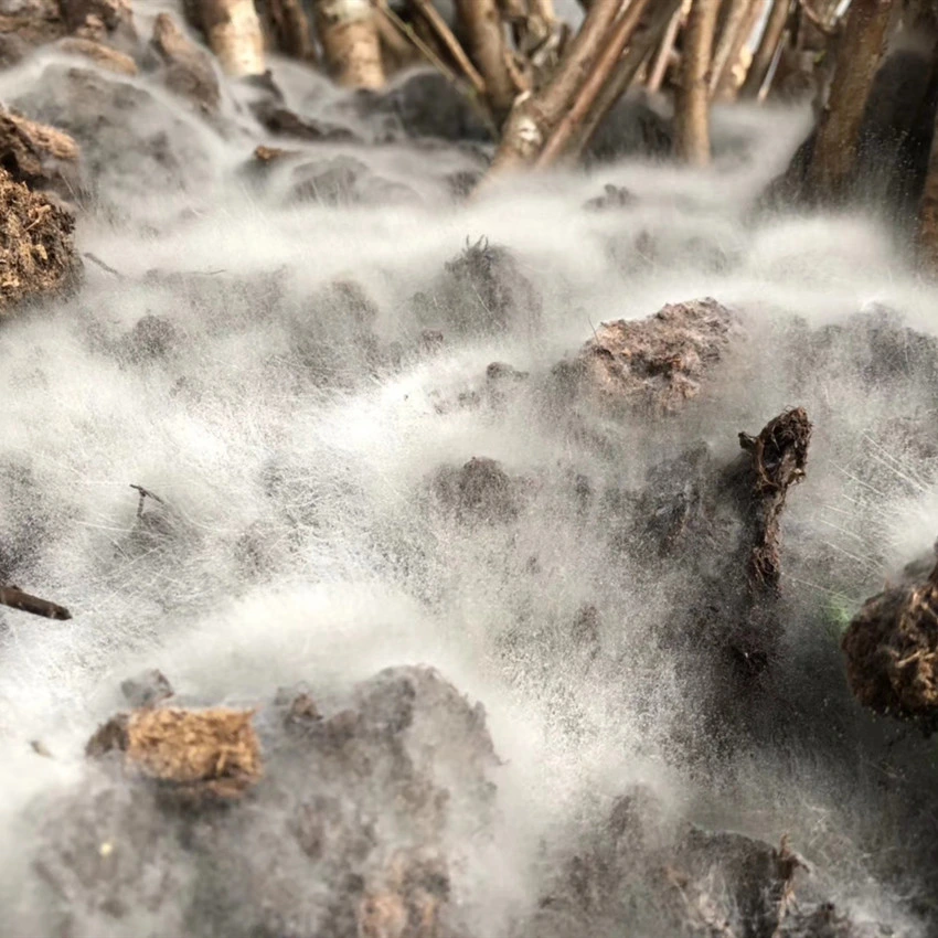 La alta calidad Fertilizante Fertilizante orgánico de la Nanotecnología acondicionador de suelos