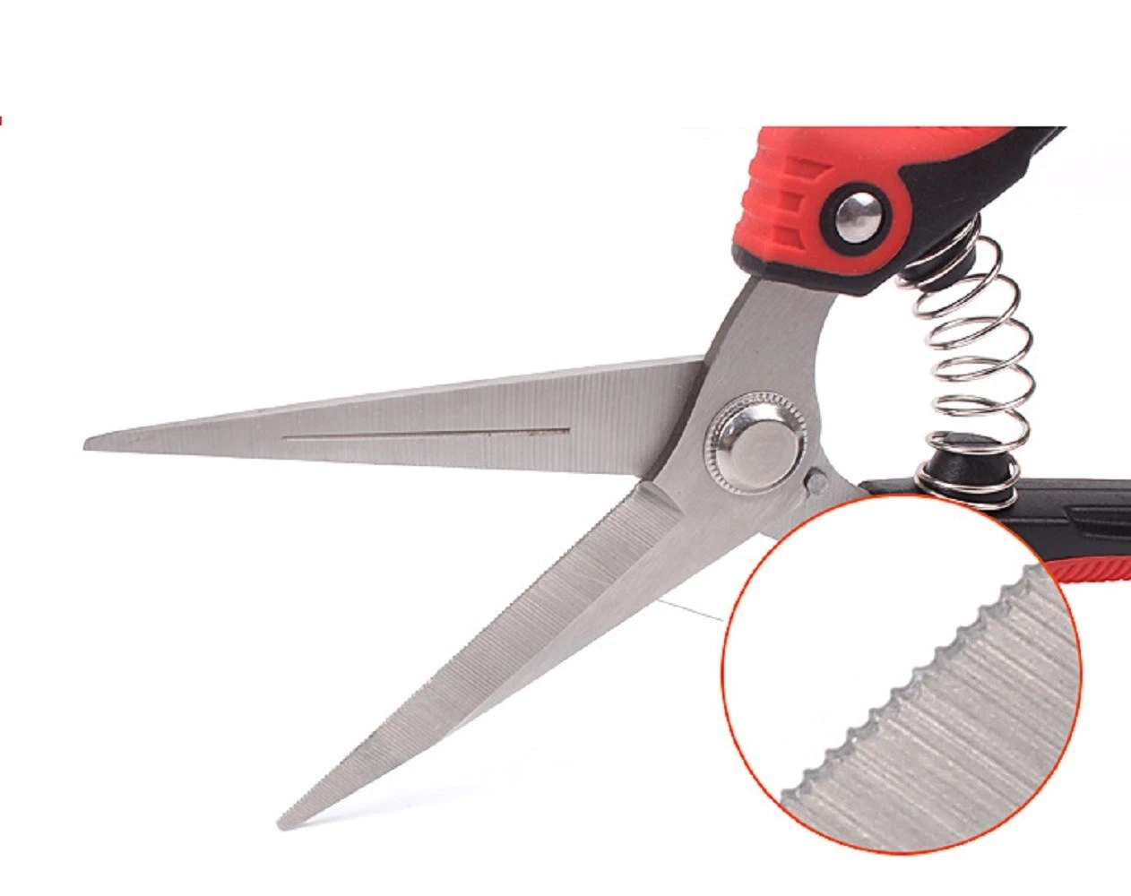 Stainless Steel Blades Hand Pruner Pruning Shear with Straight, Garden Scissors for Flowers, Trimming Plants Bl17743