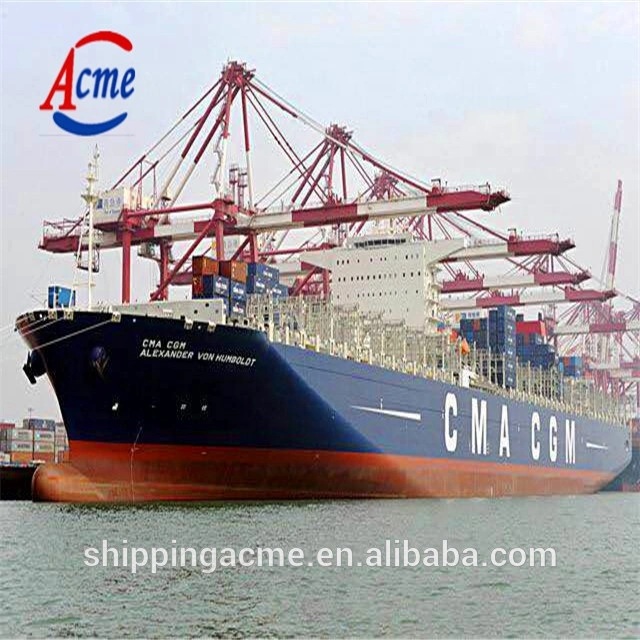 Shenzhen Shipping Agent Fast Express Service to America