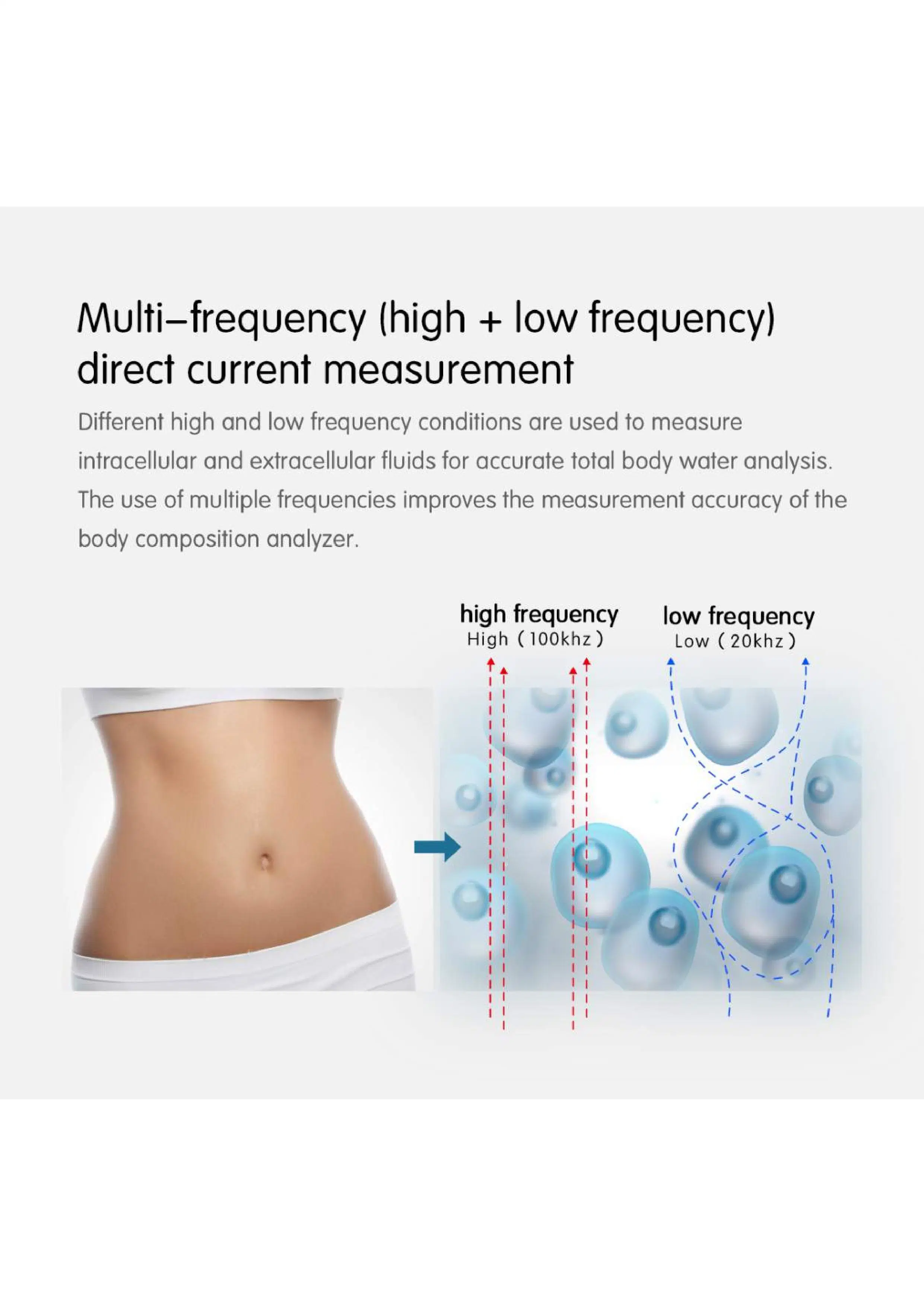 Masa corporal máquina de medición de masa muscular digital masa corporal músculos grasos