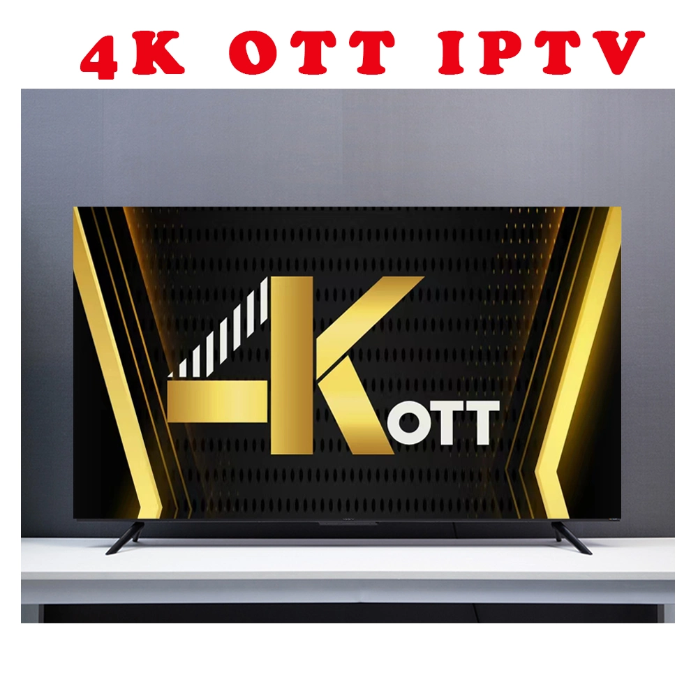 4K Ott IPTV Panel Provider Test 24 Stunden Europa UK Amerika USA Niederlande IPTV HD Niederländisch Deutsch 4K IPTV Polen M3U Android Box Smart TV