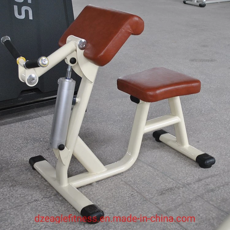 Arm Curl Hydraulic Fitness Equipment/Gym Equipment/Home Gym