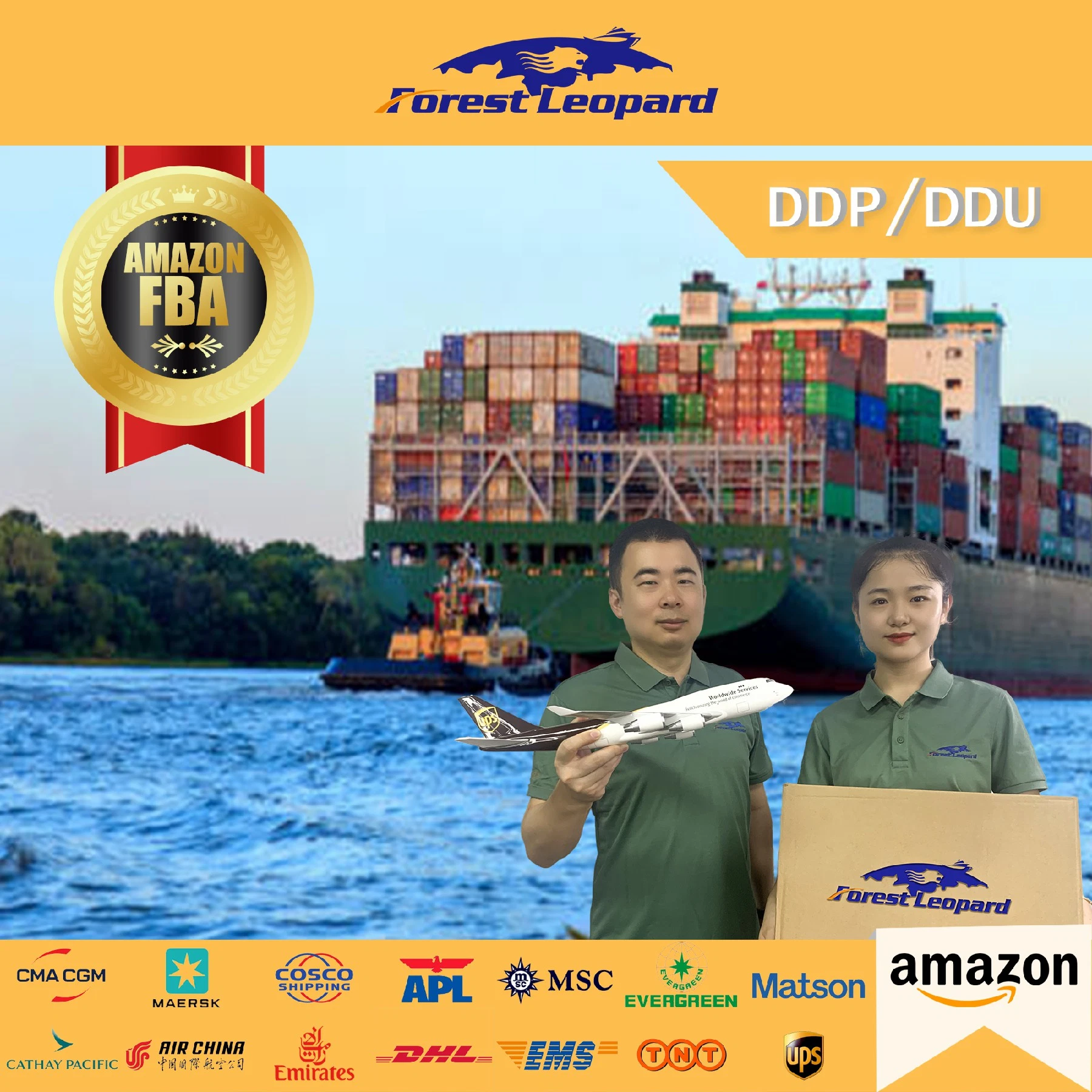 Freight Forwarder to USA/UK/Italy/France/Nl /Germany Fba Amazon by Air Freight Shipping From China DDP Door to Door Service