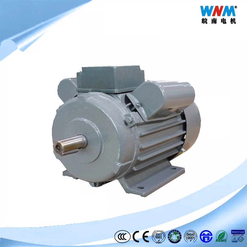 Motor eléctrico monofásico de yl AC 220V 230V valor doble de inducción de condensador 0.12~3.7kw Yc Yl Yy Ys compresor de aire del fabricante de máquina de ordeño portátiles