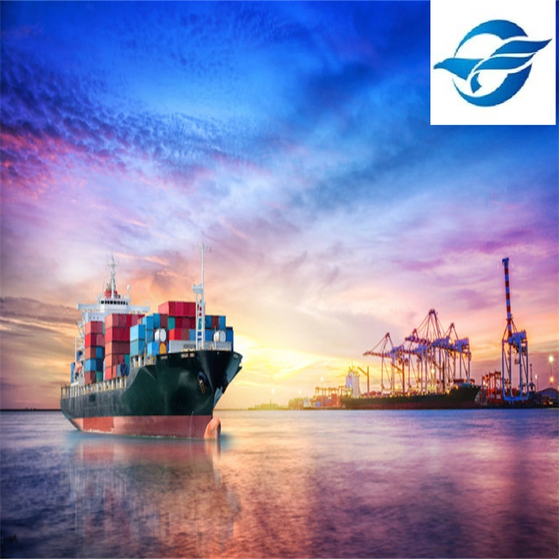 Reliable International Logistics Agent Shipping to El Salvador with Low Rates