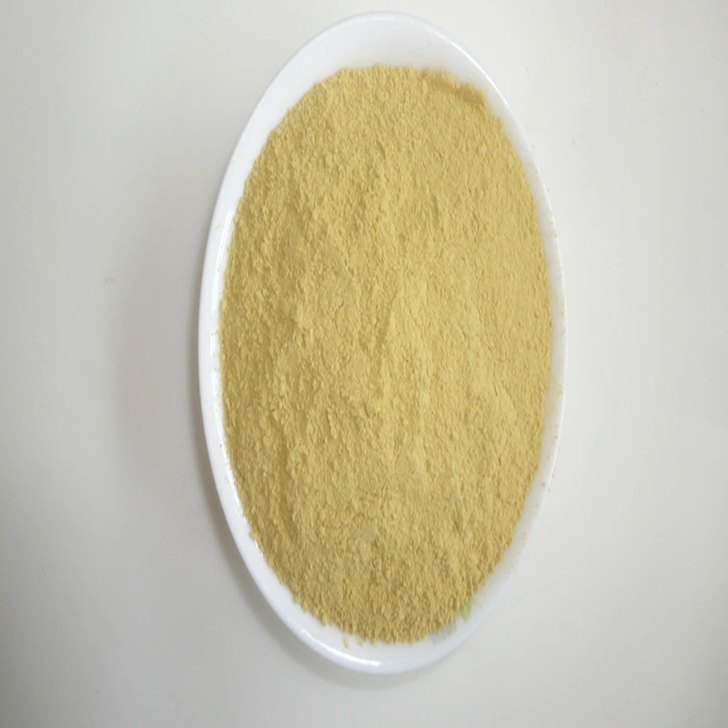 Natural Ginger Extract Powder