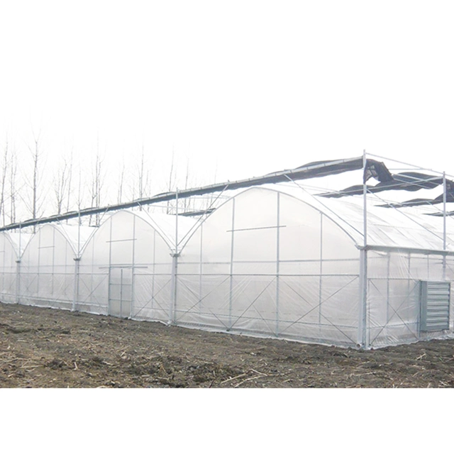 WMGH091 Multi-span tomato green house structure agricultural greenhouse for indoor vertical growing