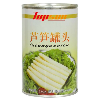 Vegetable Canned Green Asparagus From China