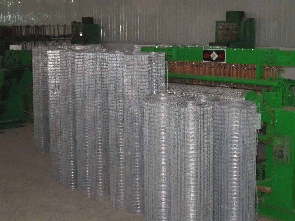 2X2 4X4 5X5cm Hot Dipped Galvanized Welded Wire Mesh (XM-1204)