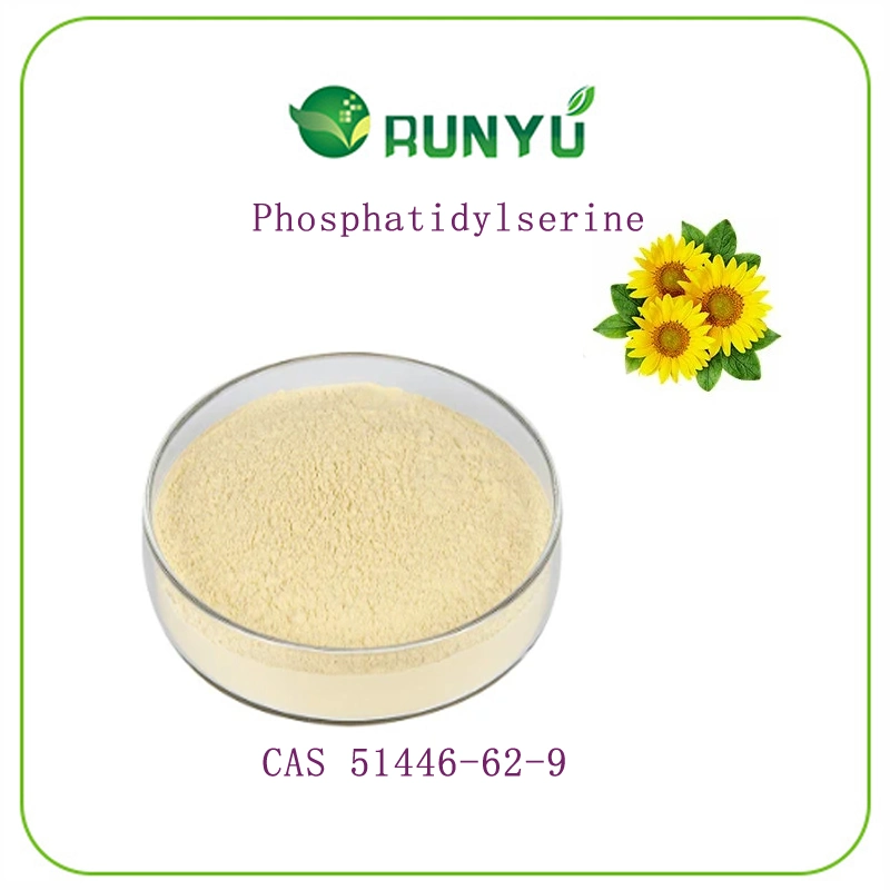 CAS 51446-62-9 Natural Herbal Extract 20%50% 80% Phosphatidylserine Helianthus Annuus Extract Sunflower Seeds Extract