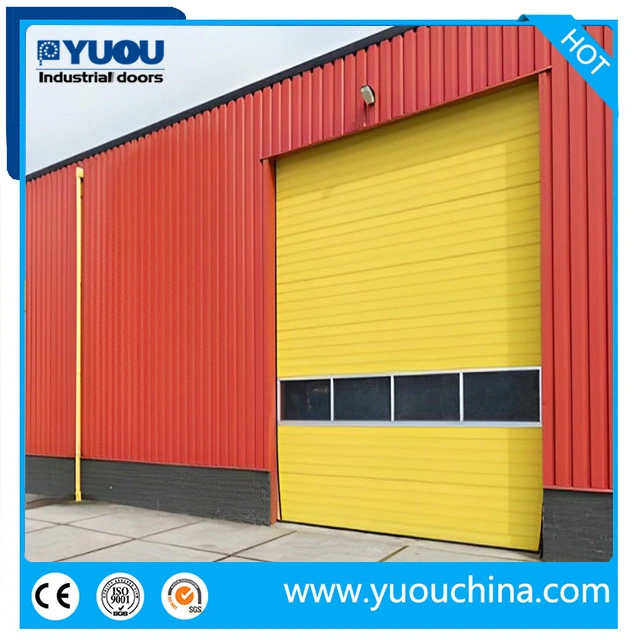 China Sectional Industrial Door with Window and Small Man Door